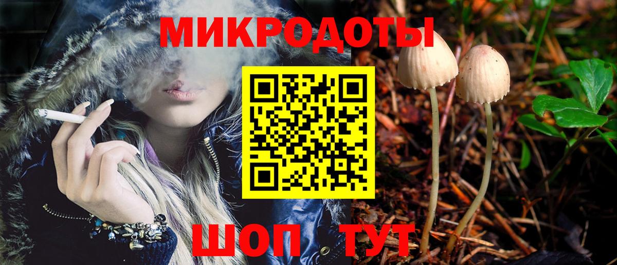 Галлюциногенные грибы MAGIC MUSHROOMS  Галлюциногенные грибы Psilocybe  Вход с VPN  Ноябрьск 